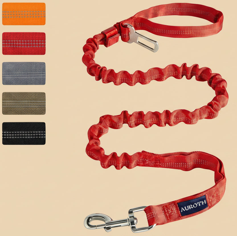Heavy Duty Bungee Dog Leash for Large Breeds - 6FT with 2 Padded Handles, Shock Absorption, No Pull Training, Red