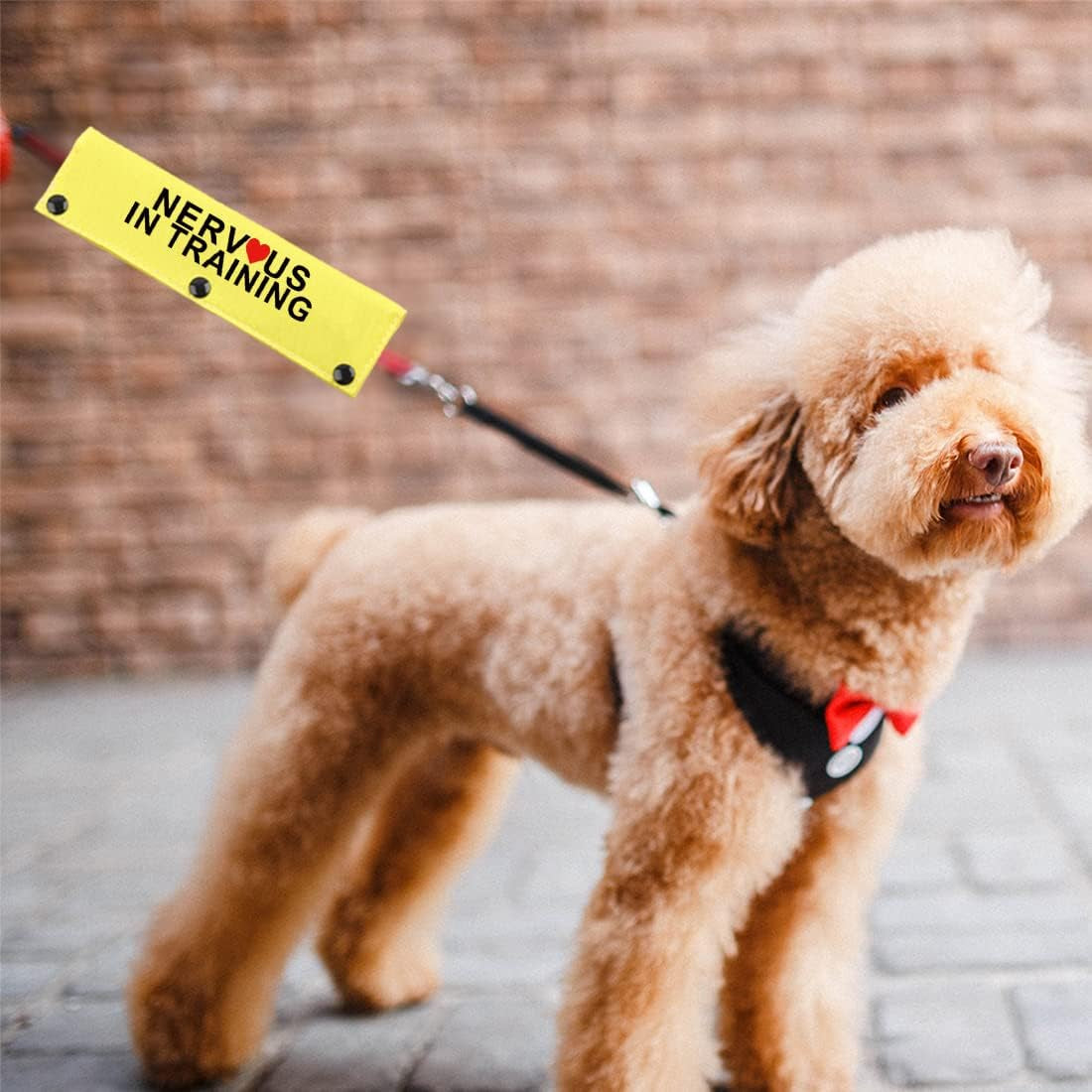 in Training Nervous Anxious Dog Leash Sleeve Dot Not Pet Working Dog Leash Sleeve Service Dog Leash Wrap (Nervous in Train DLS)