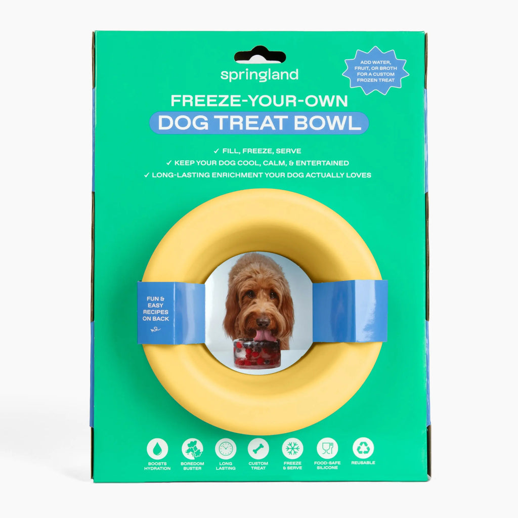 Freeze-Your-Own Dog Treat Bowl