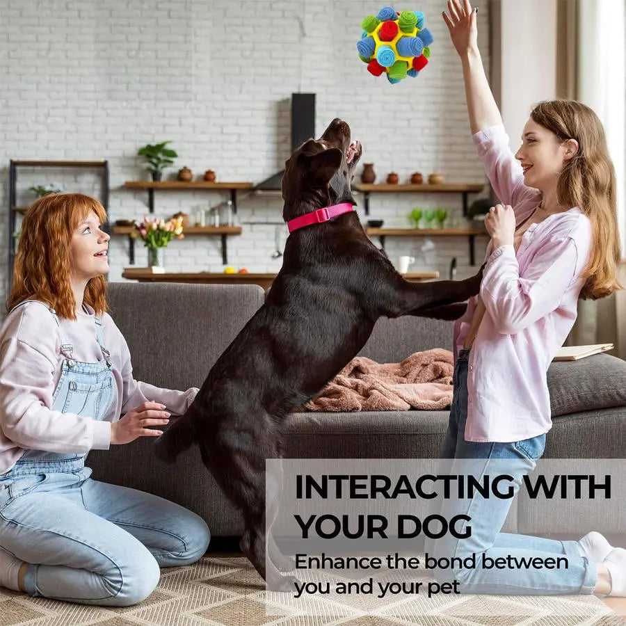 Dog Snuffle Ball Toy, Food-Dispensing Interactive Training Ball for Dogs
