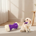 Interactive Dog Chew Toy-Brightly Colored Dog Enrichment Toy for Aggressive Chewers-Purple
