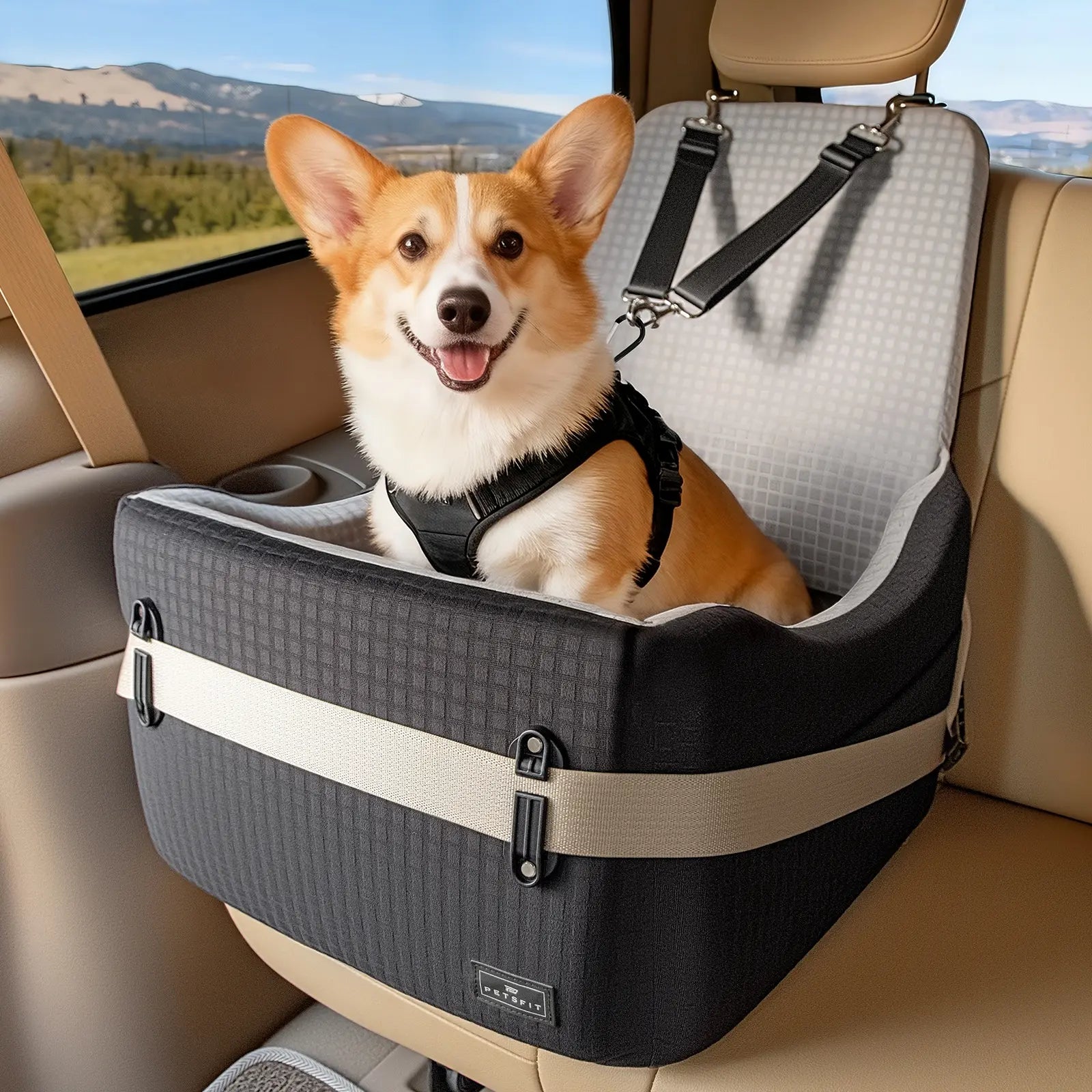 PETSFIT Dog Car Seat for Small/Medium Dogs up to 35 Lbs – Patented Safety System, 5" Memory Foam Pet Booster Car Seat, Fully Detachable and Washable Dog Carseat with 2 Storage Pockets (Black & Grey)
