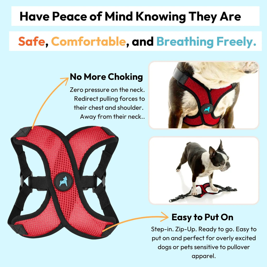 Gooby: Comfort X Step-In Lite Dog Harness | Best No-Escape & Choke-Free Step-In Harness for Toy Breeds, Small & Medium Dogs | Ultra-Lightweight | Breathable Mesh | Quick-Dry | Machine Washable