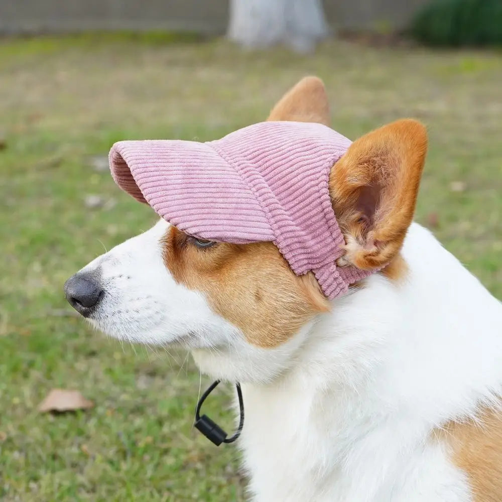 INS Adjustable Dog Baseball Cap Breathable Soft Dog Parent-Child Hat with Ear Holes Pet Sun Hat Hiking