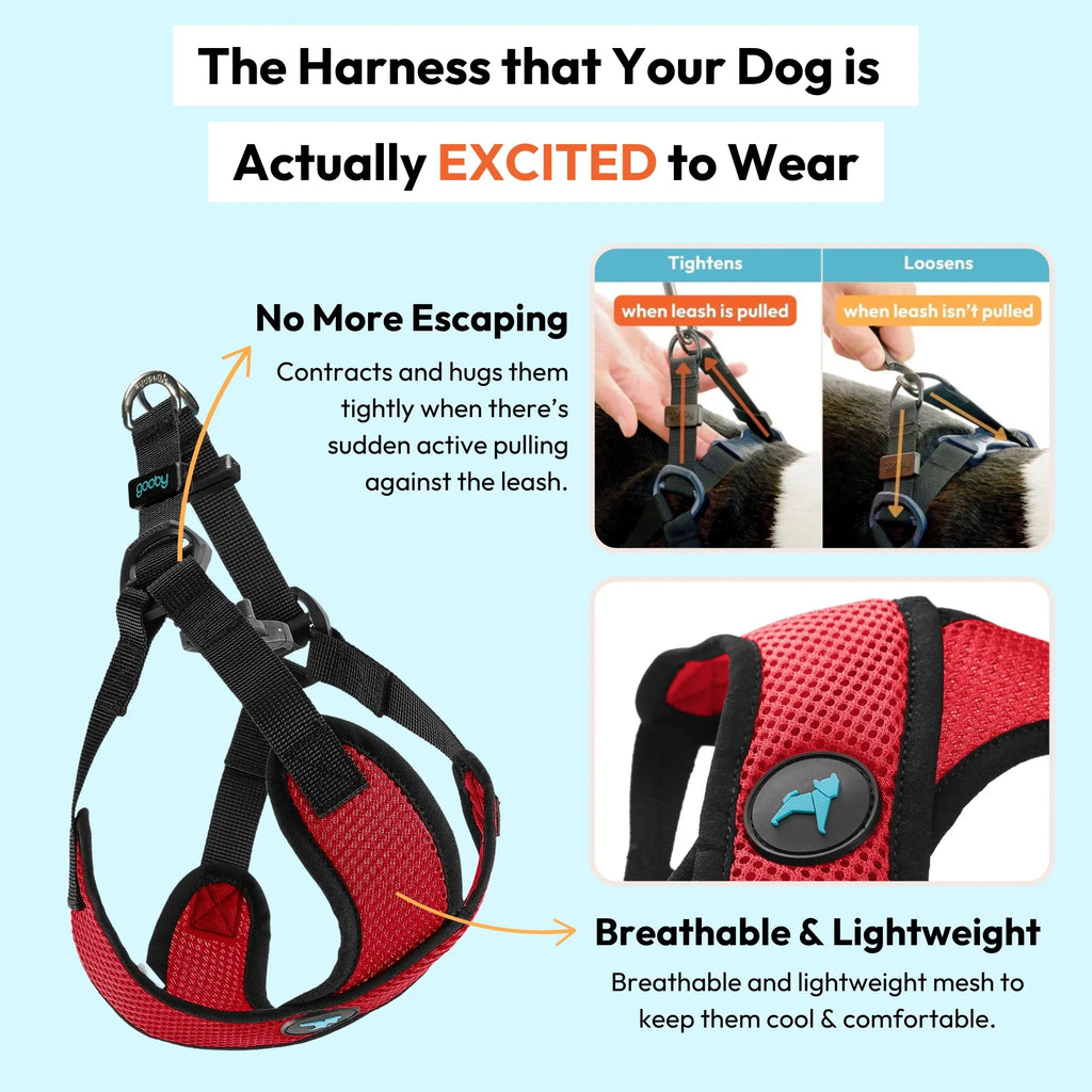 Gooby: Comfort X Step-In Lite Dog Harness | Best No-Escape & Choke-Free Step-In Harness for Toy Breeds, Small & Medium Dogs | Ultra-Lightweight | Breathable Mesh | Quick-Dry | Machine Washable