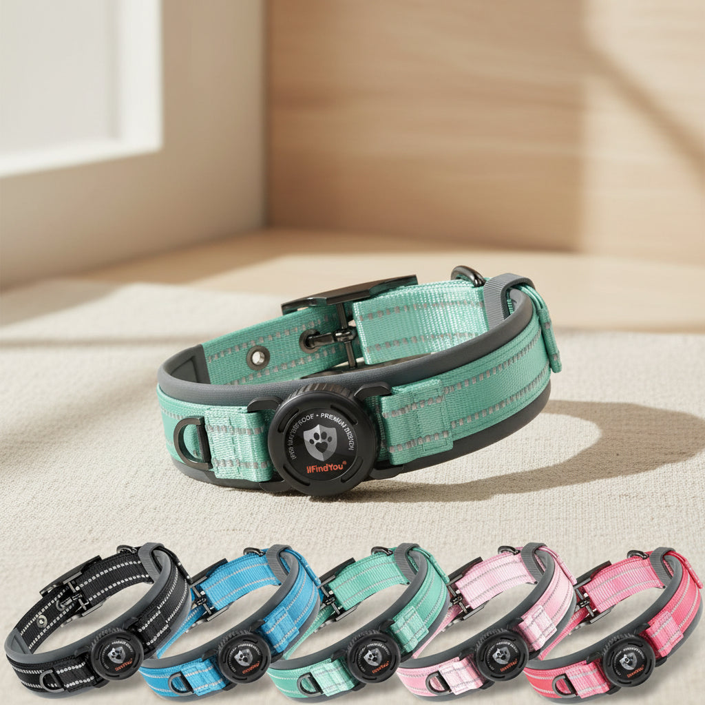 Dog Collar with Airtag Holder for Medium Dogs, Upgraded Waterproof Air Tag Dog Collar Widened Comfortable Padded, Reflective, Ultra-Durable, Heavy Duty Dog Collars Adjustable - M(17" - 19") Cyan