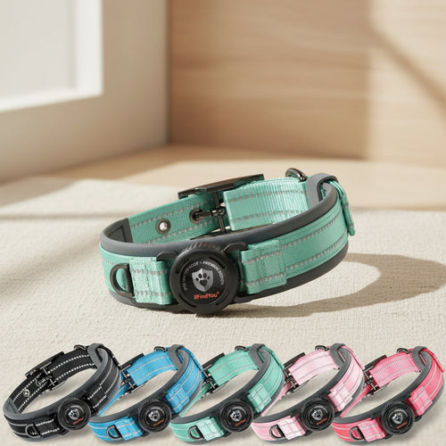 Dog Collar with Airtag Holder for Medium Dogs, Upgraded Waterproof Air Tag Dog Collar Widened Comfortable Padded, Reflective, Ultra-Durable, Heavy Duty Dog Collars Adjustable - M(17" - 19") Cyan