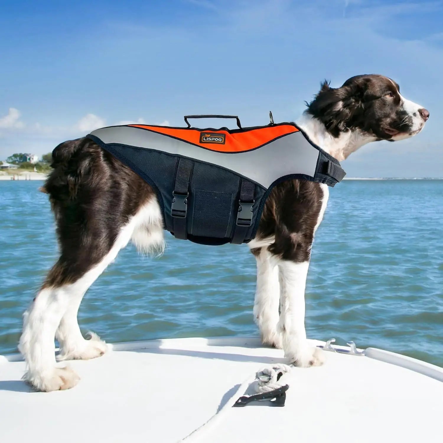 Dog Life Jacket & Swimming Safety Vest,Buoyant Float Coat with Handle & Reflective Strips for X-Small to X-Large Dogs,Adjustable Dog Flotation Vest,High Buoyancy Pet Swim Gear for Water Rescue Vest for Boating, Pool, Beach