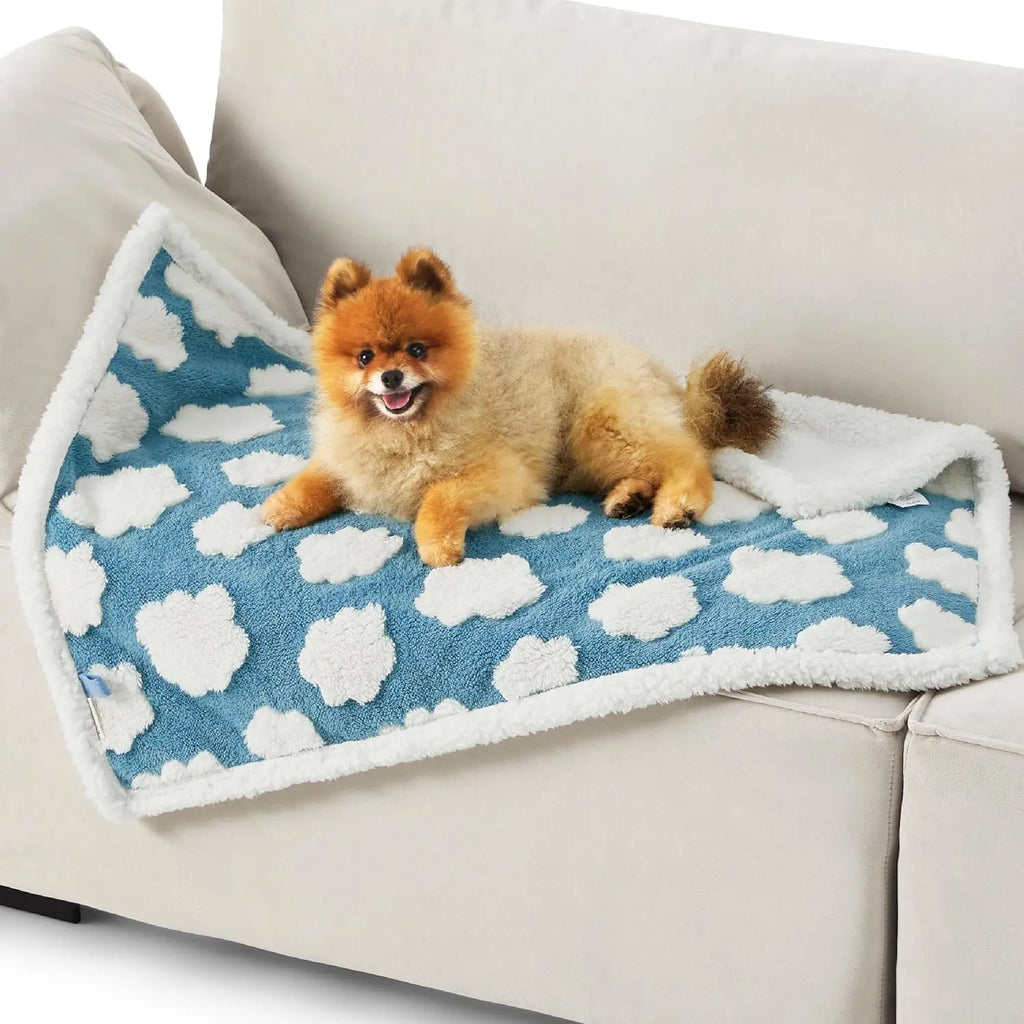 Lesure Waterproof Comfy Vibes Pet Blanket for Dogs & Cats - 2-Sided Jacquard Shag & Sherpa Fleece, 3D Textured Cloud Pattern, Machine Washable, Durable, Portable Couch Protector