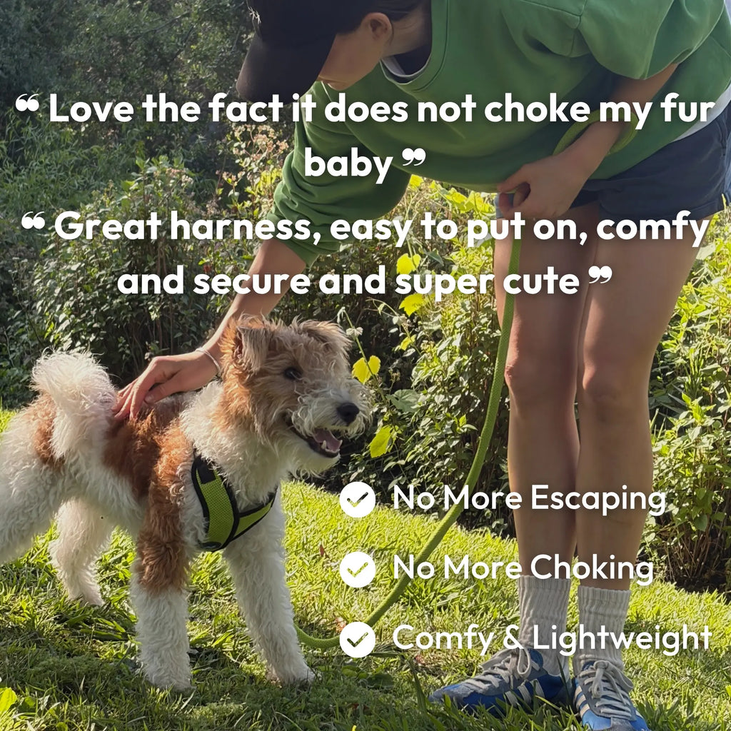 Gooby: Comfort X Step-In Lite Dog Harness | Best No-Escape & Choke-Free Step-In Harness for Toy Breeds, Small & Medium Dogs | Ultra-Lightweight | Breathable Mesh | Quick-Dry | Machine Washable